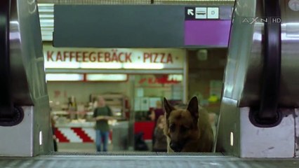 Kommissar Rex Staffel 9 Folge 1 HD Deutsch