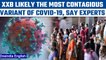 Covid-19 XXB variant is likely the most contagious; Maha govt warns people | Oneindia News*News