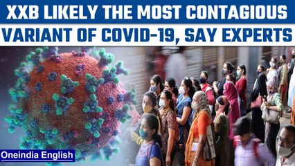 Video herunterladen: Covid-19 XXB variant is likely the most contagious; Maha govt warns people | Oneindia News*News