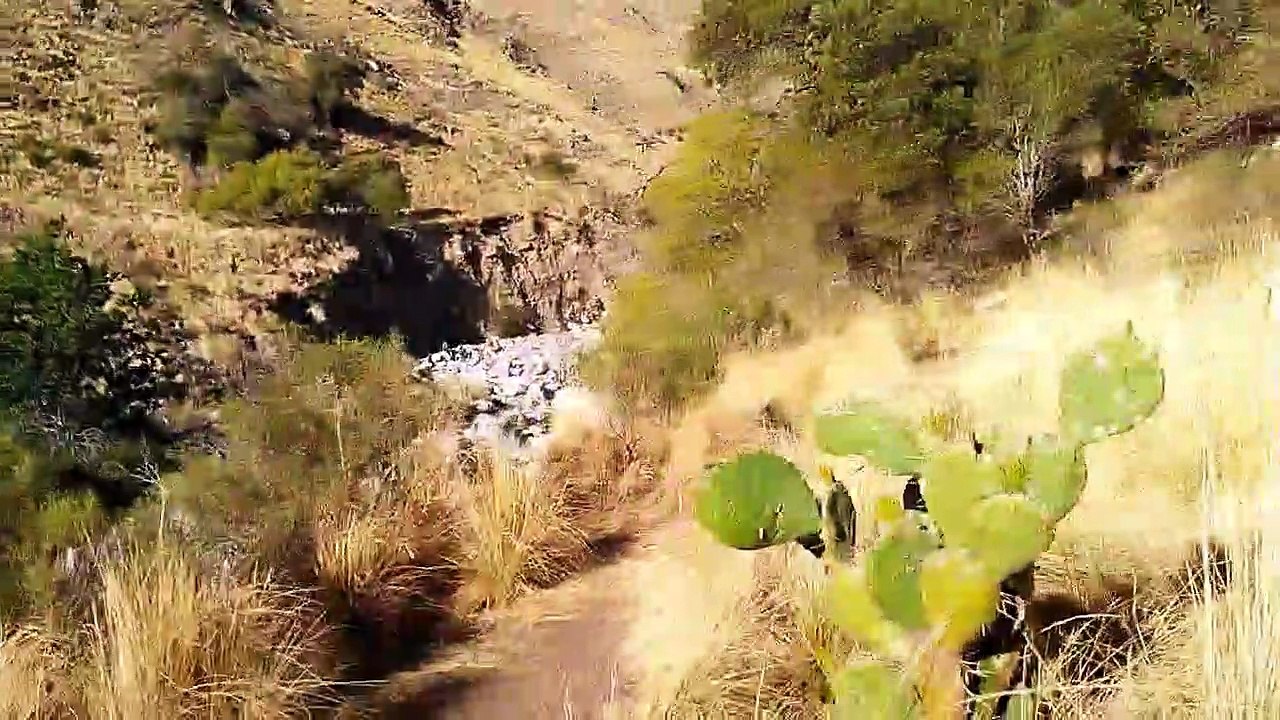 De Paseo Por La Reserva De Villa De Merlo (Argentina)