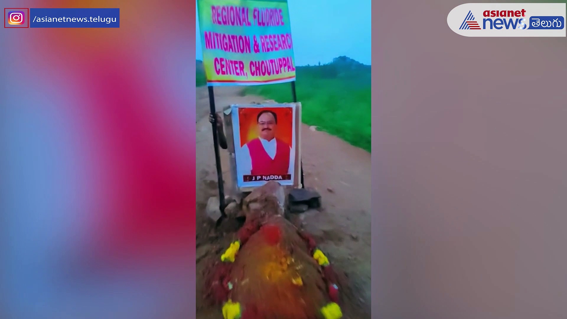 మనుగోడు ప్రచారం పరాకాష్టకు ... జేపి నడ్డాకు సమాధికట్టిన ప్రత్యర్థులు