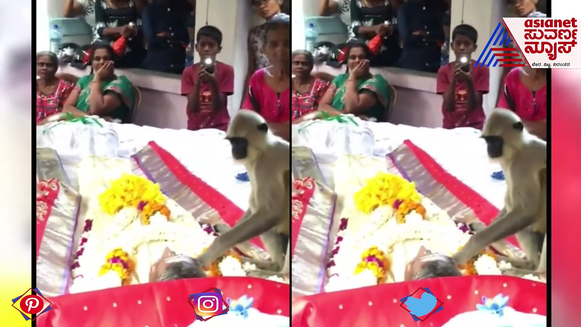 ದಿನಾ ಆಹಾರ ತಿನ್ನಿಸುತ್ತಿದ್ದ ವ್ಯಕ್ತಿಯ ಹಣೆಗೆ ಮುತ್ತಿಟ್ಟು ವಿದಾಯ ಹೇಳಿದ ಕೋತಿ