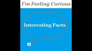 OK Google Now:I'm Feeling Curious,Interesting Facts,Google Search