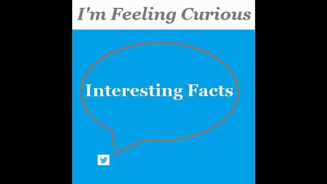 OK Google Now:I'm Feeling Curious,Interesting Facts,Google Search