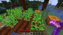 10 Minecraft Tips and Tricks to Make you go From Noob to Pro