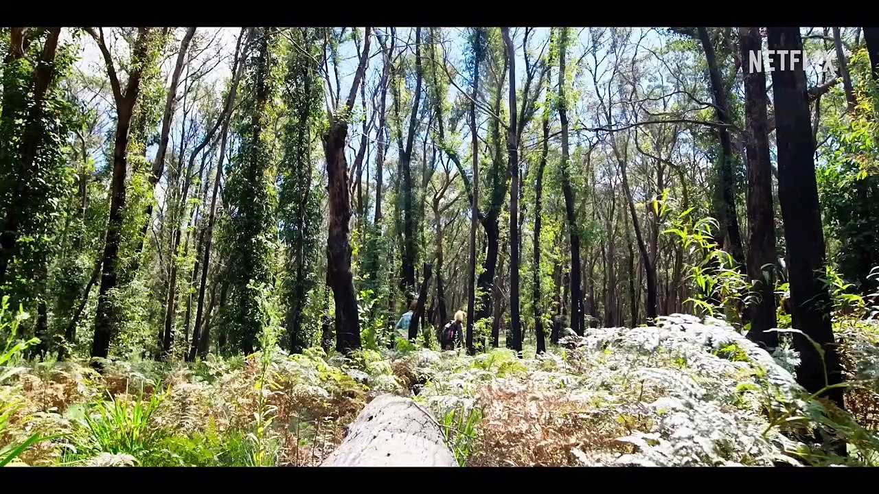 Um die Welt mit Zac Efron - staffel 2 Trailer OV