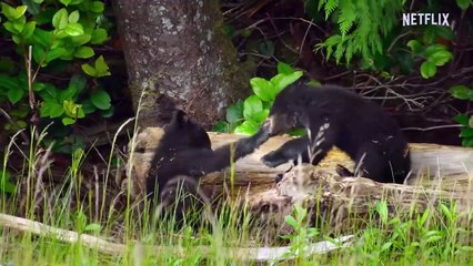 'Island of the Sea Wolves' - Tráiler oficial en inglés - Netflix