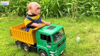 Funny Monkey Learns Fruits - Educational Video for Preschoolers