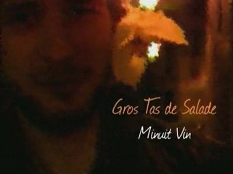 Parodie de Grand Corps Malade - Gros Tas de Salade