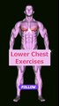 Chest Workout for Fitness