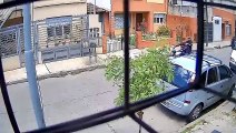 Cães de rua impedem assalto à mão armada na Argentina. Veja o vídeo