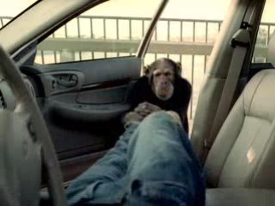 Singe alarme 3