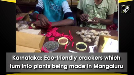 Karnataka: Eco-friendly crackers which turn into plants being made in Mangaluru