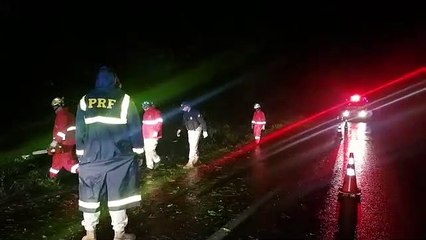 Queda de árvore interdita pista na rodovia BR-467 e bombeiros são acionados para fazer o corte da vegetação