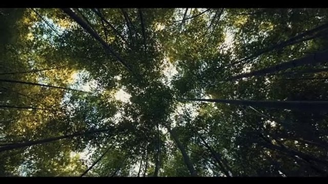 Engin Altan Düzyatan’ın Eminevim ile ikinci reklam filmi yayınlandı