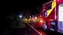 Ventos derrubam árvores de grande porte na rodovia BR-369 e Corpo de Bombeiros é mobilizado