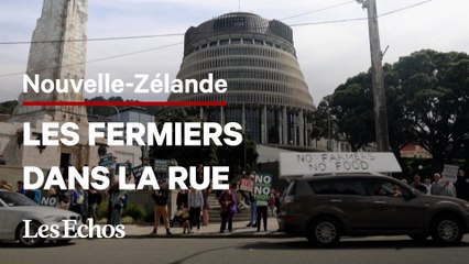 Les fermiers néozélandais protestent contre le projet de taxer les pets de vache