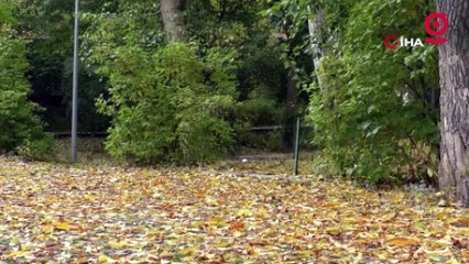 Kars’tan kartpostallık sonbahar görüntüleri