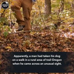 Porsche Was Discovered 26 Years After It Was Reported