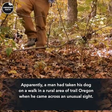 Porsche Was Discovered 26 Years After It Was Reported