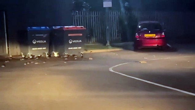 Rodents spotted at Peterborough fast food restaurant