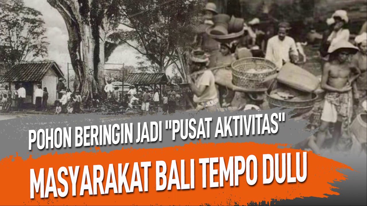 POHON BERINGIN JADI "PUSAT AKTIVITAS" MASYARAKAT BALI TEMPO DULU
