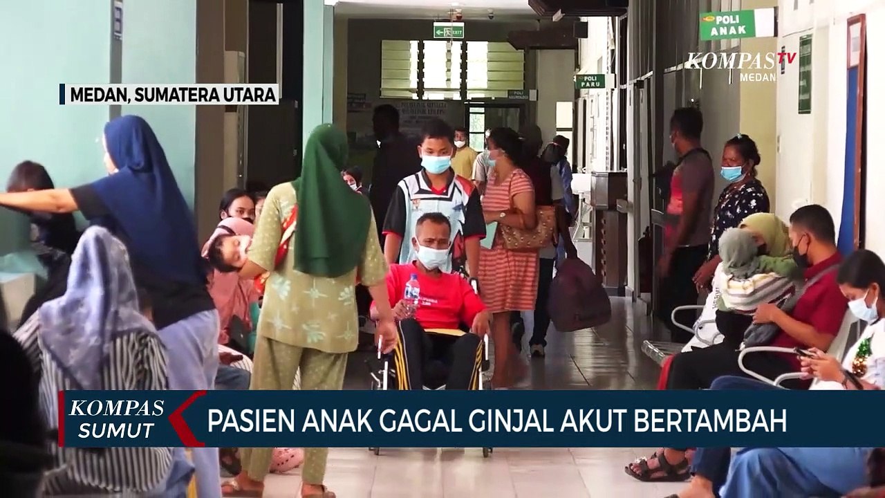 Data Sementara Kasus Gagal Ginjal Akut di Sumut, 2 Sembuh, 3 Dirawat, 7 Meninggal