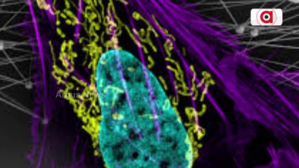 Odisha notifies cancer as a 'reportable disease'