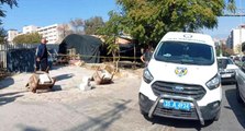 İzmir'de barakada sır ölüm: Bıçaklanmış halde ölü bulundu