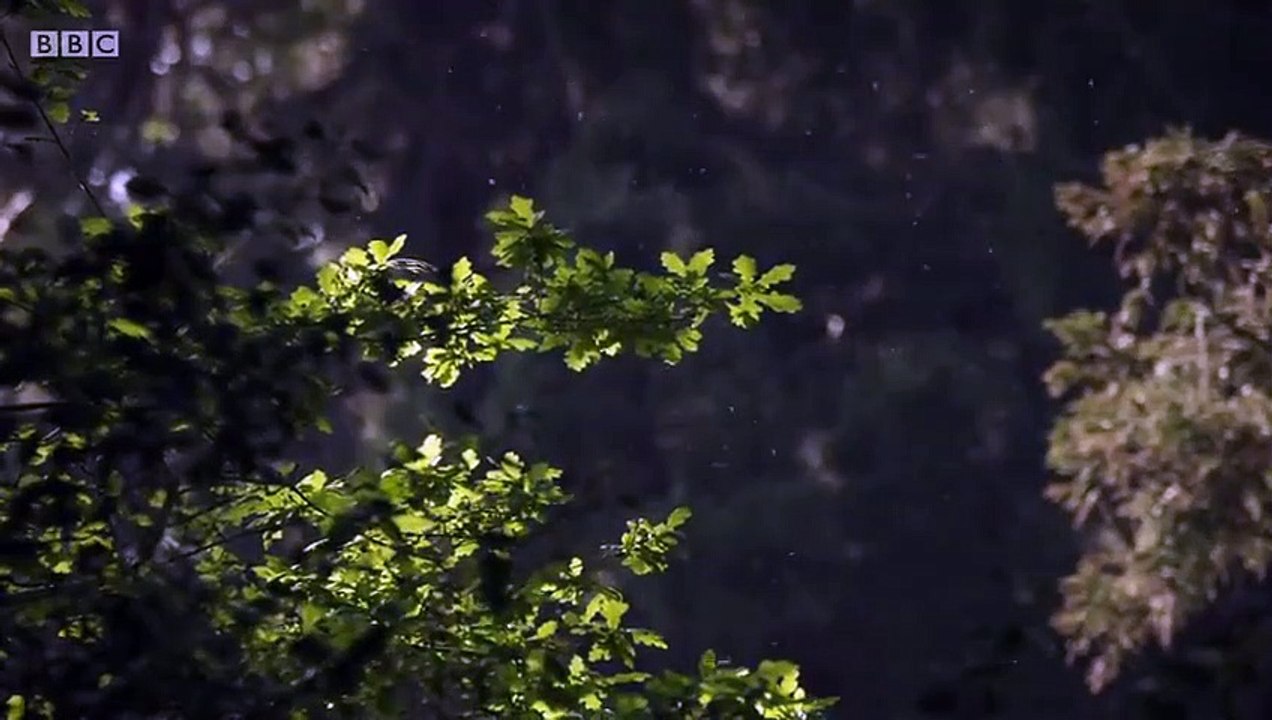 Requiem - Se1 - Ep04 HD Watch HD Deutsch