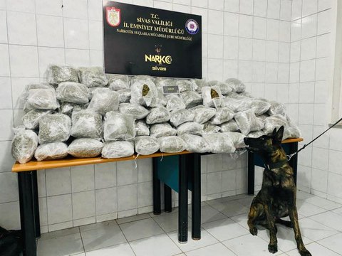 Sivas gündem haberleri | Sivas'ta 81 kilo 952 gram esrar ele geçirildi