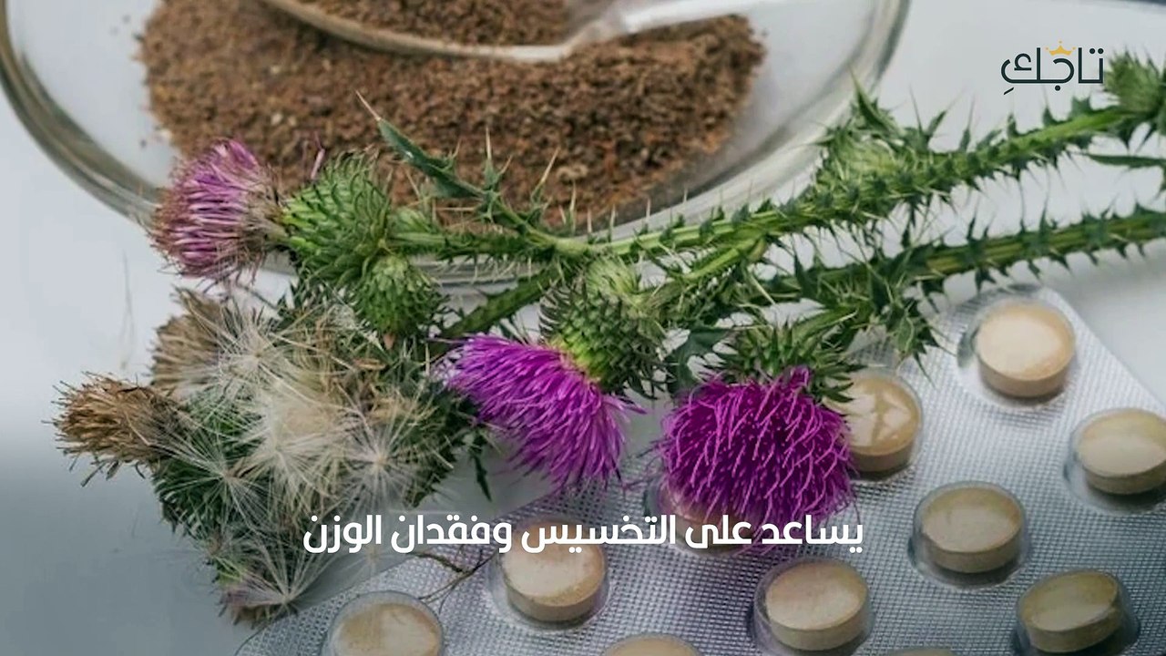 فوائد حليب الشوك للبشرة