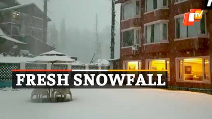 Fresh Snowfall In Gulmarg J&K