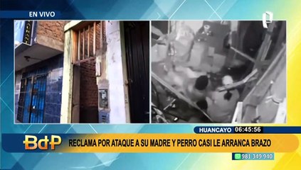 Huancayo: mecánico acude a reclamar a vecino y pitbull casi le arranca el brazo