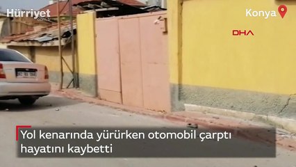 Yol kenarında yürürken otomobil çarptı, hayatını kaybetti