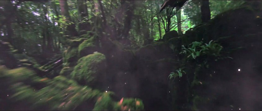 Le célèbre petit sorcier Harry Potter va figurer sur une série de pièces au Royaume-Uni dont une de 50 pence