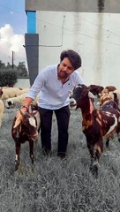 मुर्शाद का हुआ पचका || Murshad ka hua pachka || comedy ho gya murshad ka