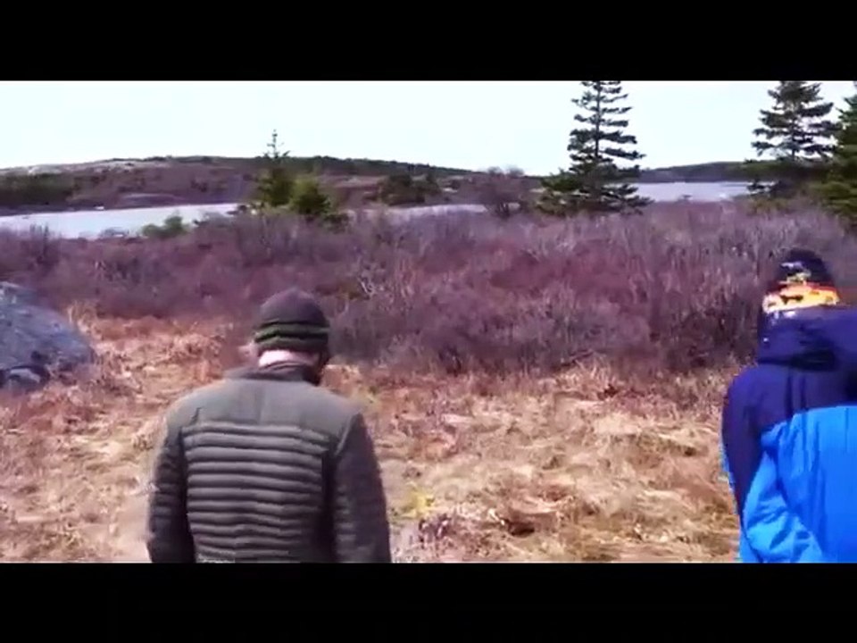 Extinct or Alive - Se1 - Ep03 - White Wolf of Newfoundland HD Watch HD Deutsch