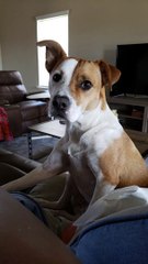 funny animal videos funny videos 2022 comedy videos #aww #HaHa