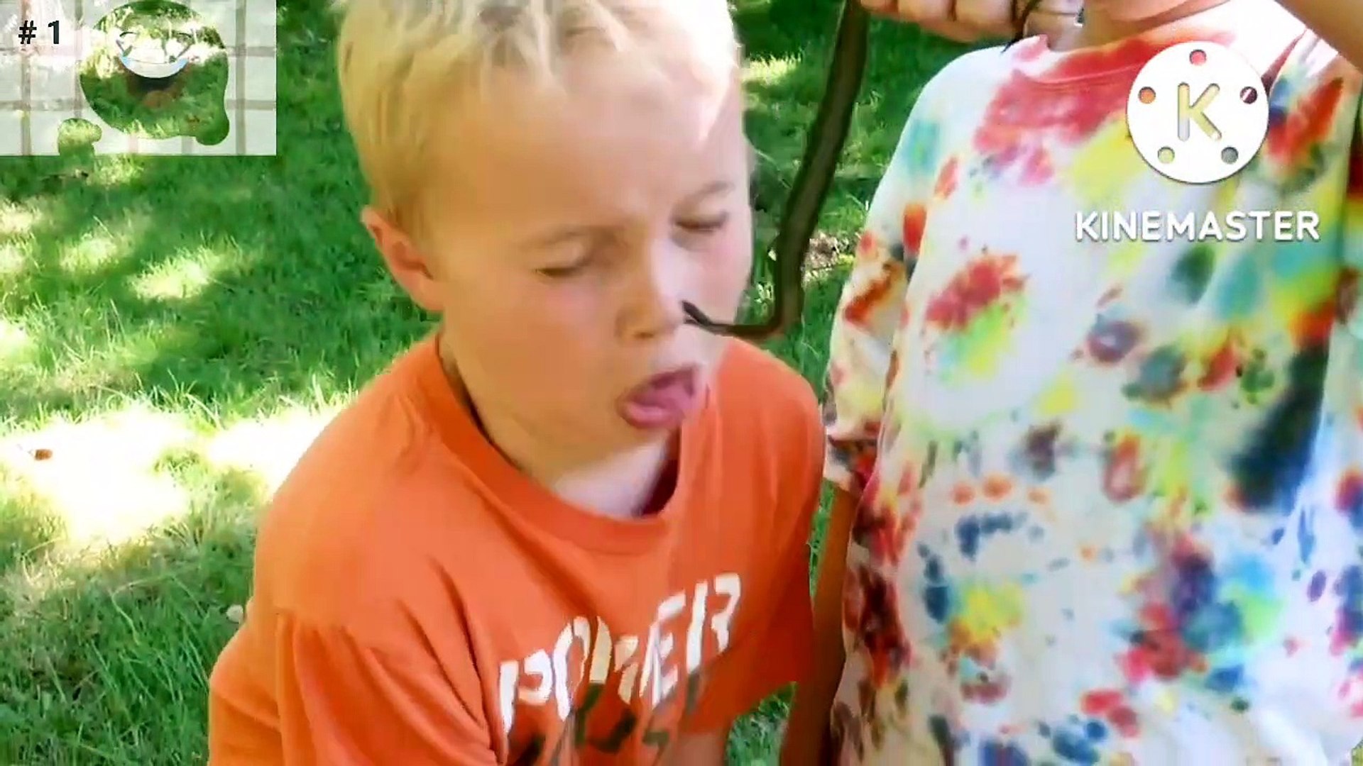 Funny videos comedy videos laughing videos