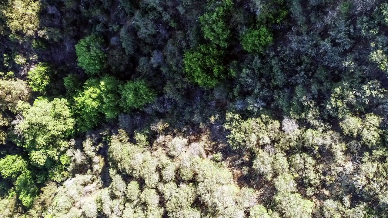 Citizen P.I. - Se1 - Ep01 HD Watch HD Deutsch