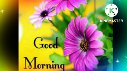 Good Morning-Good Morning Video Status-Good Morning Message