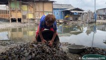 Indonesia: 'Green mussel village' residents risk losing their livelihood
