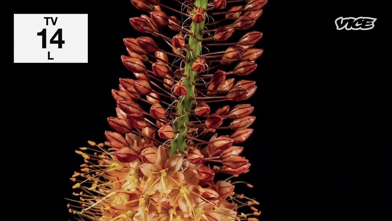 Fanatics - The Deep End - Se1 - Ep06 HD Watch HD Deutsch