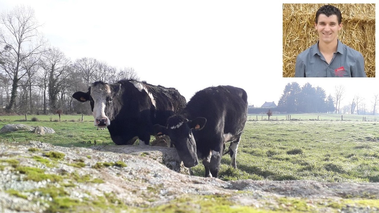 Trois conseils de Cyrille Herbert, jeune éleveur (35), pour s'installer en lait