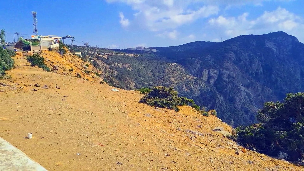 THE WILD MONKEYS IN JABAL SOUDA, SAUDI ARABIA