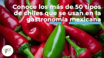 Conoce los más de 50 tipos de chiles que se usan en la gastronomía mexicana |492| 24-30 Octubre 2022
