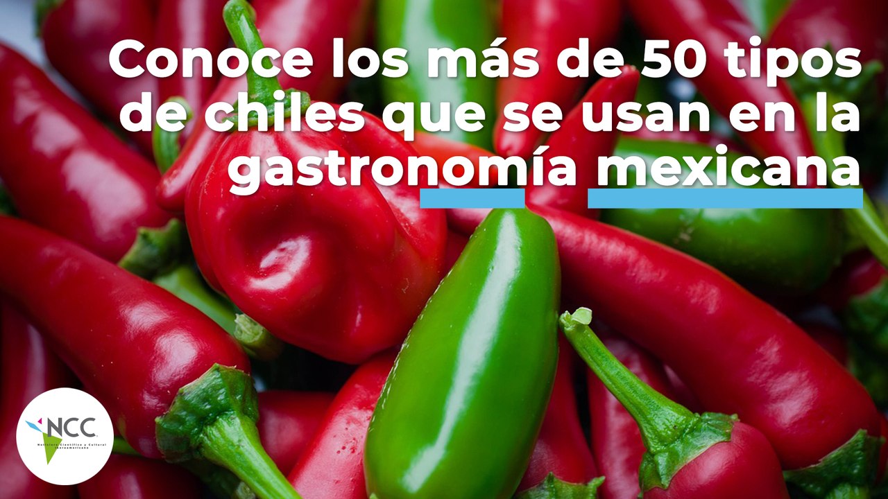 Conoce los más de 50 tipos de chiles que se usan en la gastronomía mexicana |492| 24-30 Octubre 2022