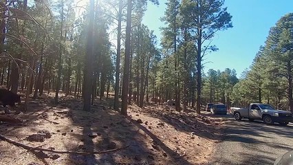 The Wild Life of Dr. Ole - Se1 - Ep01 - Pronghorn Problems HD Watch HD Deutsch