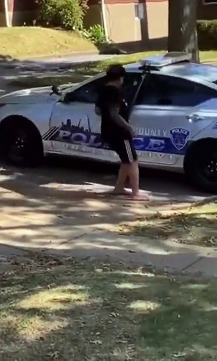 Une suspecte vole une voiture de police et la crashe contre un arbre